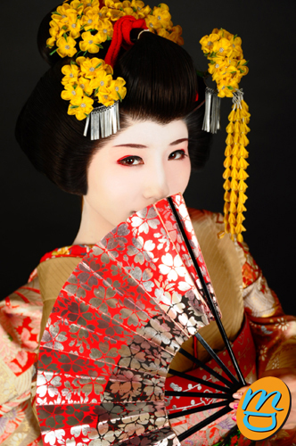 舞妓　歴史