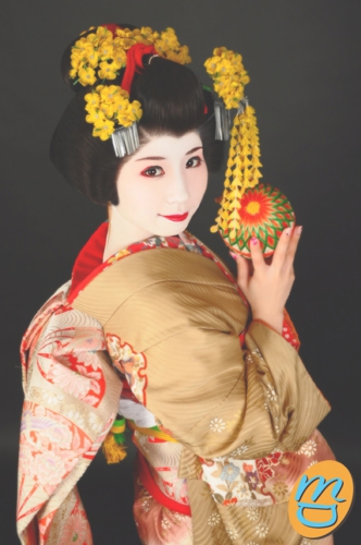 舞妓　着物