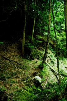 風景写真　京都　観光