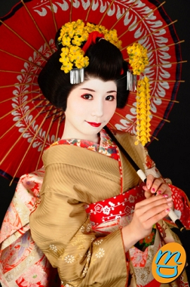 舞妓変身　口コミ