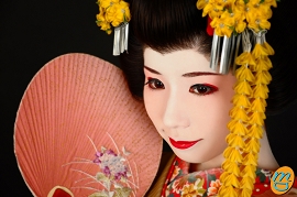 舞妓さん　画像