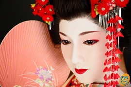 舞妓