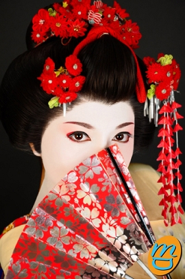 京都　舞子